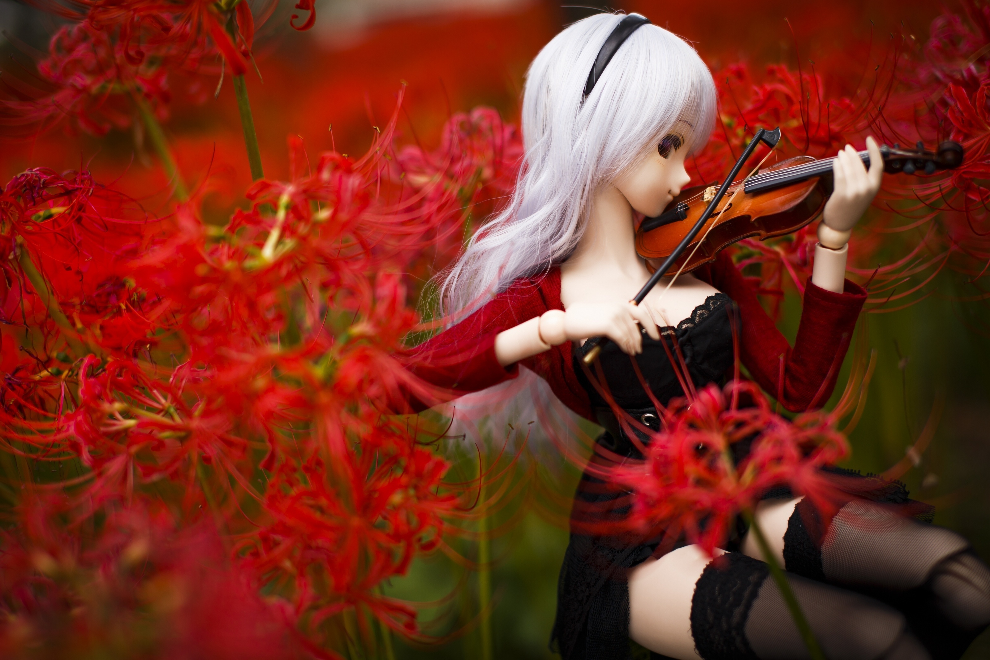 Wallpaper | 3D wallpapers | photo | picture | Doll, flowers, violin