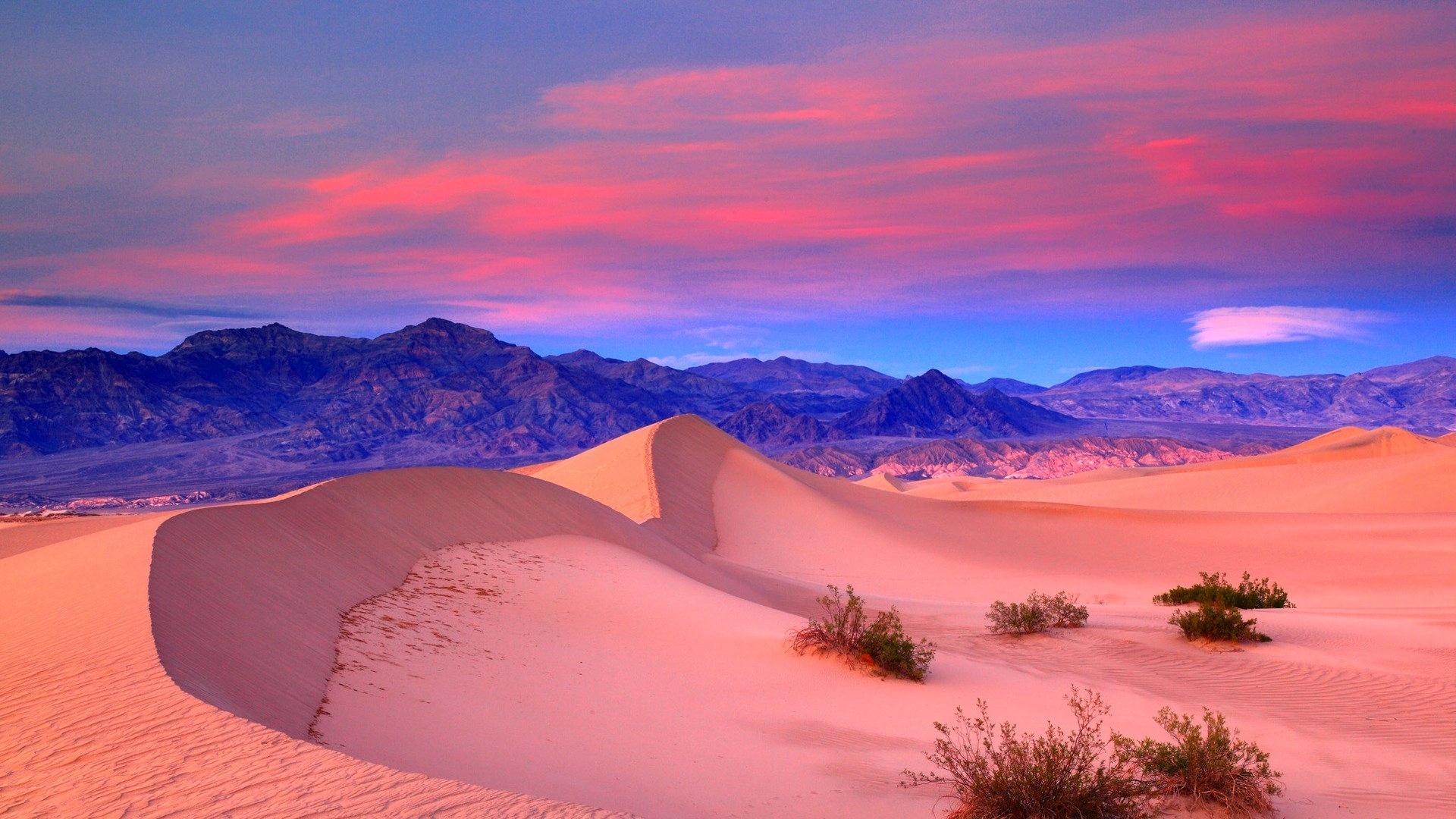 Обои на монитор | Красивые | пустыня, Розовая, закат, песок, небо