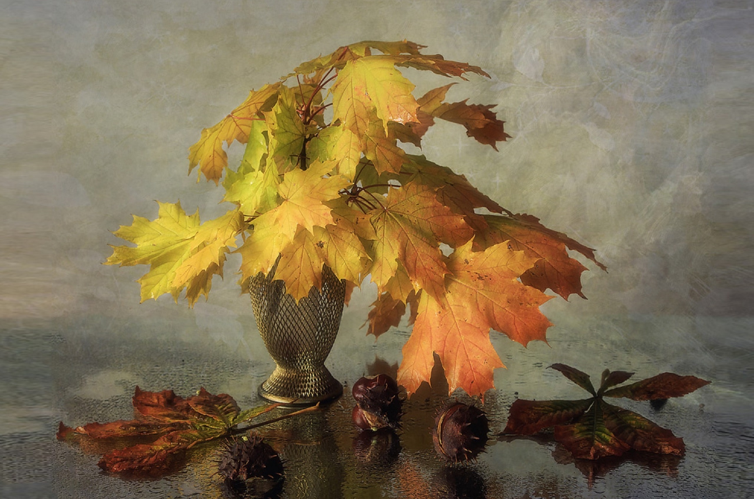 Обои на монитор | Красивые | Осенний свет, натюрморт, осенние листья,  каштаны, мокрое стекло