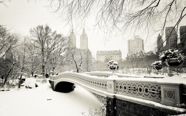 zimní, New York, most, sníh, strom, led