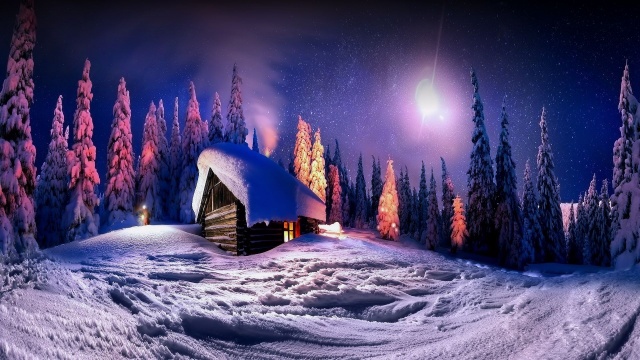 forest, snow, hut, winter