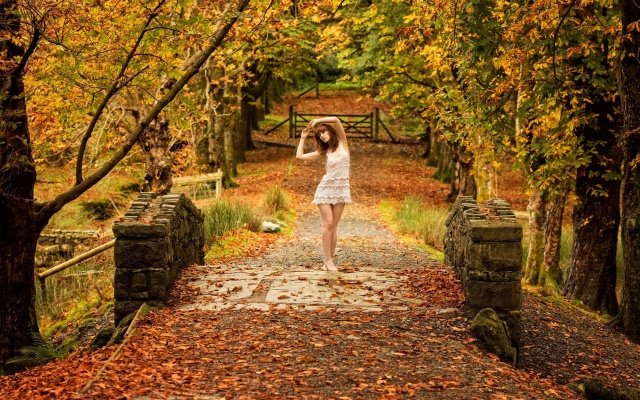 bridge, dress, girl, trees, autumn, path, leaves
