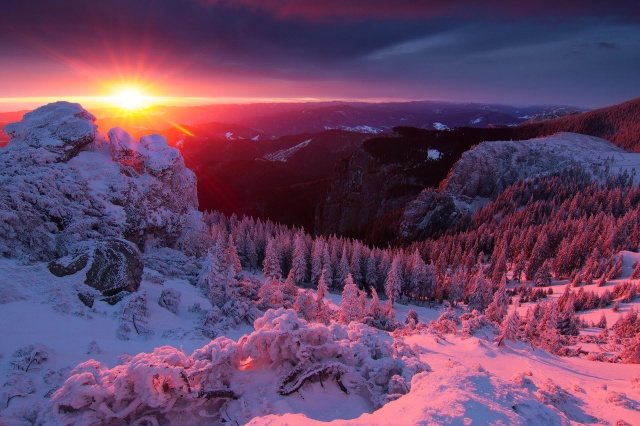 zima, hory, slunce, les, Karpaty, krásně