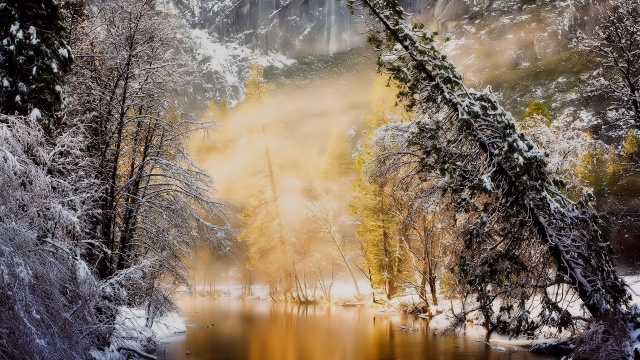 sníh, rybník, stromy, mlha