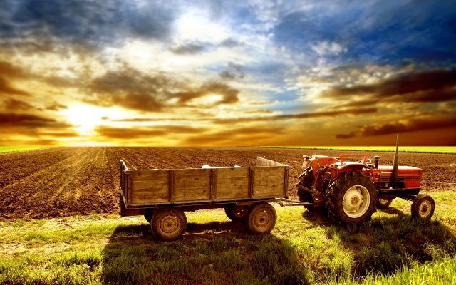 tractor, fields, sunrise, sky, sun