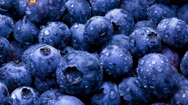 blueberries, Rosa, abundance