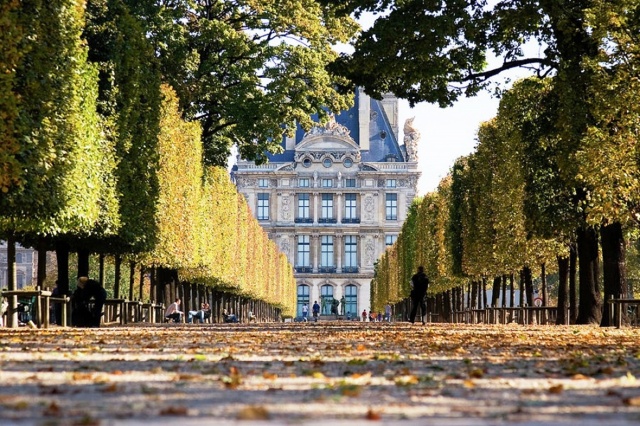 здание, Аллея, усеянная опавшими листьями, стриженные деревья, ограда, скамейки, люди, осень в париже