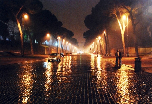 the city, the rain, slush, trees, lights, machine, pedestrians, autumn