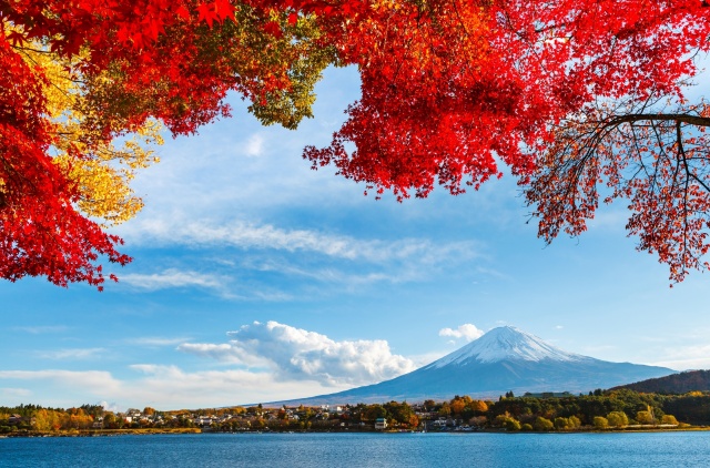 nature, Japan, Fuji, the lake, mountains, the city, autumn, beautiful