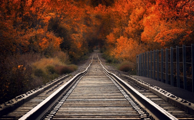 залізничний, дорога, шлях, макро, фото, природа, осінь, міст