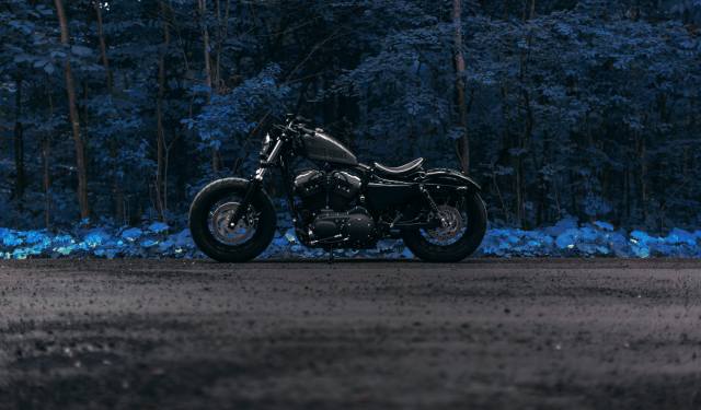 ліс, дорога, мотоцикл, Harley Davidson, forty eight