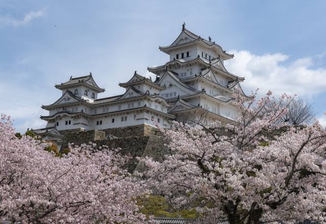 Japonsko, hrad, jaro, kvetoucí, stromy, Himeji, hrad, město