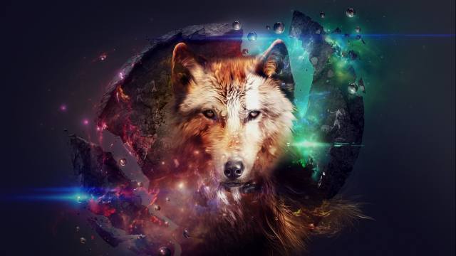 wolf, wolves, Predator, Carnivore, artwork