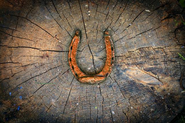 horseshoe, good luck, symbol