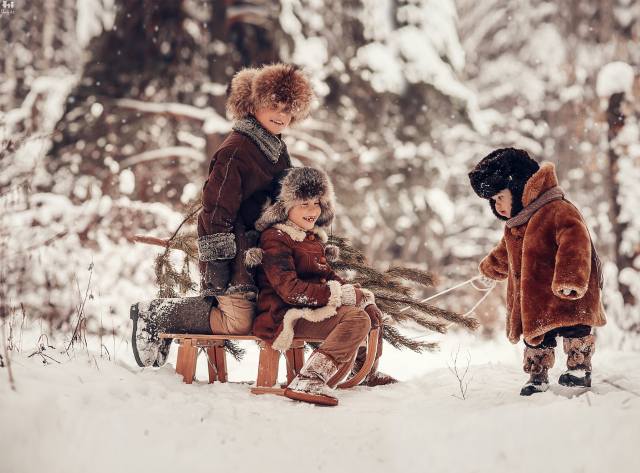Анна Ипатьева, children, boys, winter, snow, sled, herringbone