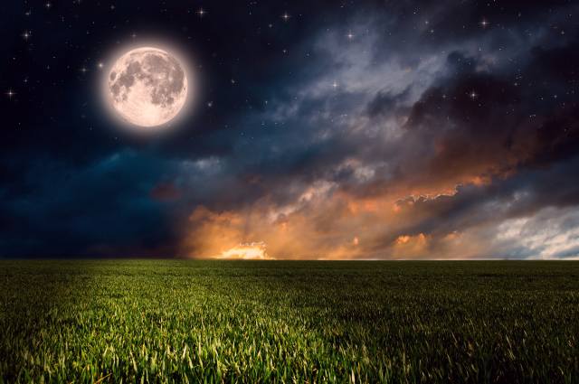 the sky, the moon, stars, meadow, light