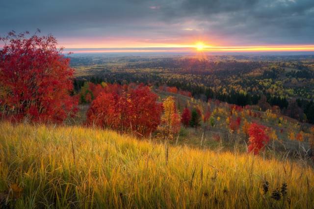 autumn, landscape, Михаил Туркеев