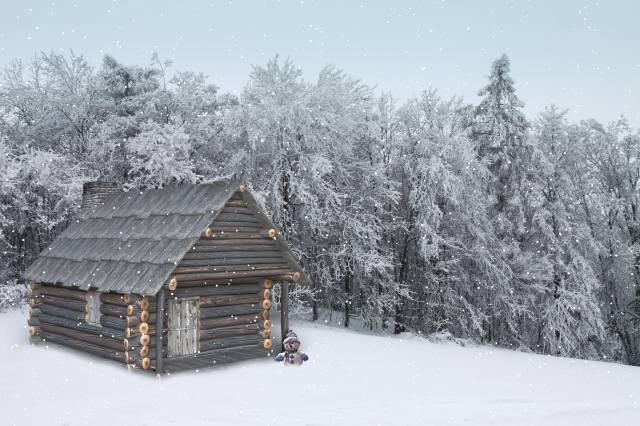 hut, forest, snow