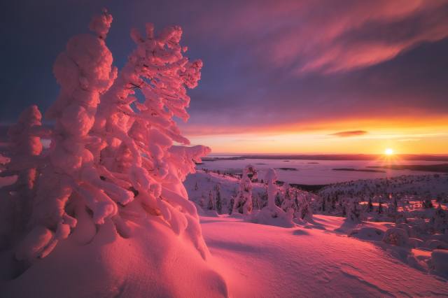 winter, the sun, beautiful, Оборотов Алексей
