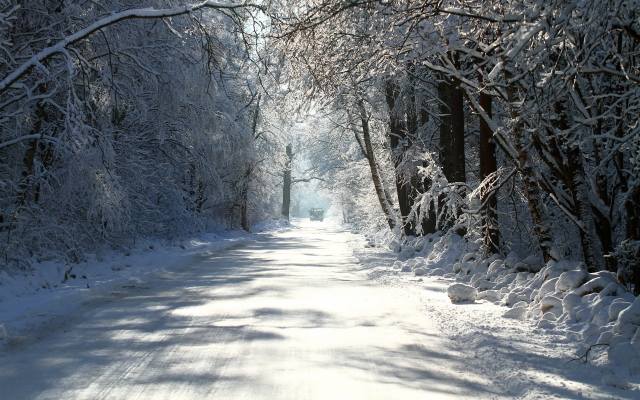 лес, снег, дорога, машина