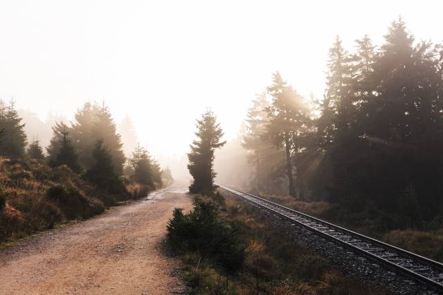road, forest, fog, railway
