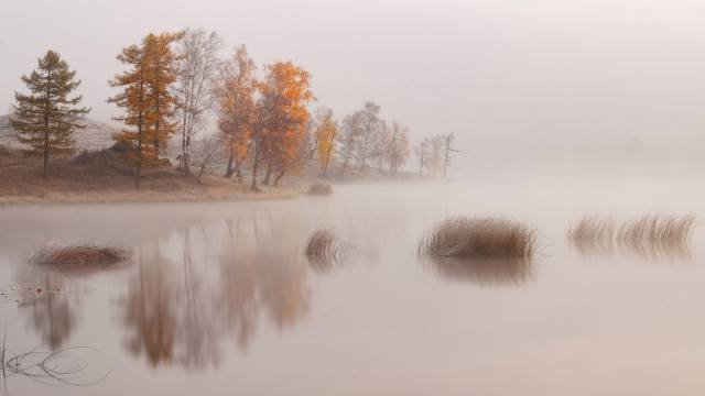 podzim, jezero, mlha