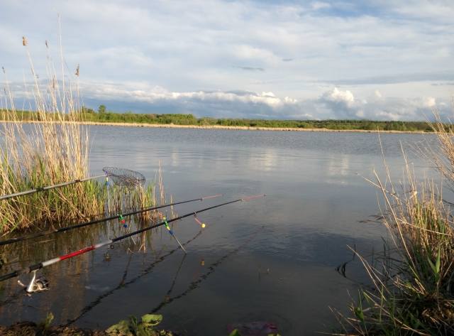 May, the lake, fishing, reed, удочки, подсак, beautiful