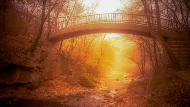 autumn, the bridge