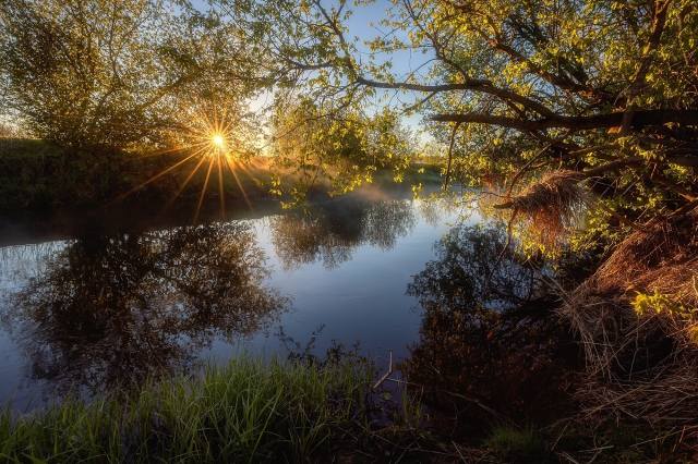 May, the river, morning, photo, Александр Пашеничев