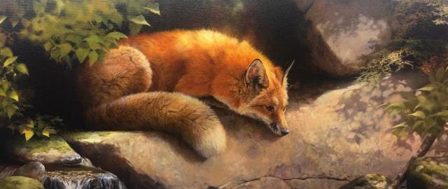 art, picture, Fox