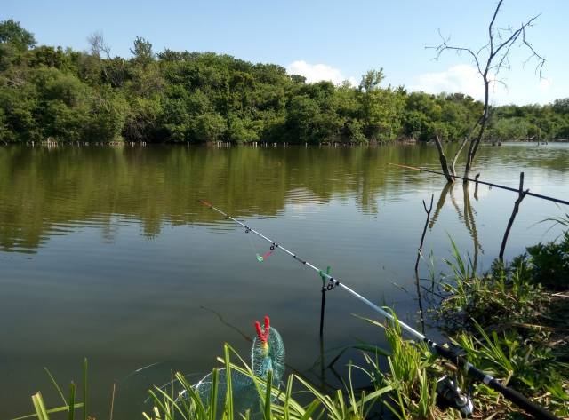 summer, fishing, the lake, удочки