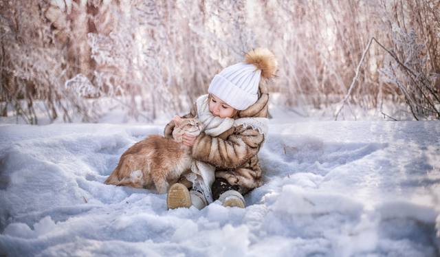 природа, зима, снег, ребёнок, девочка, Животное, кот, кошка