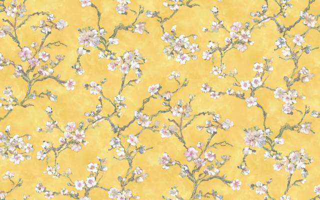 sakura, Bernardo Bartalucci Carlotta, spring, Wallpapers