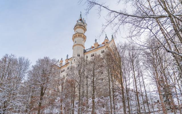 winter, Neuschwanstein Castle, Southern Bavarian, Germany