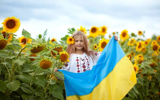 Ukrainian Freedom, sunflowers, UKRAJINA