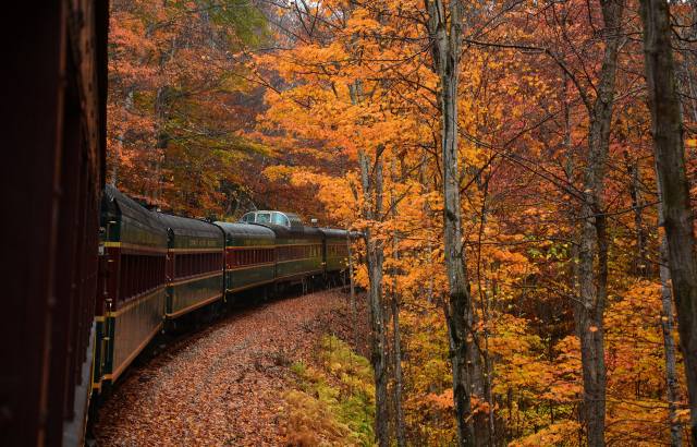 autumn, forest, train, cars