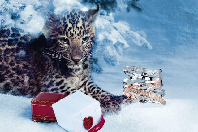Animal, predator, cub, leopard, New year, tree, decoration, Cartier, fashion