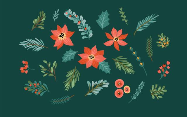 christmas, floral, nature, leaves, holiday