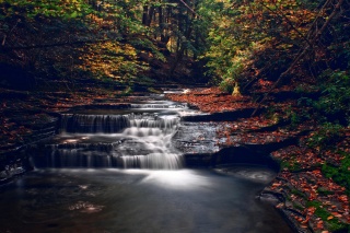 nature, autumn, stream, cascades, river, forest, trees, leaves