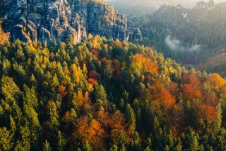 Німеччина, Саксонська Швейцарія, скелі, ліс, краса