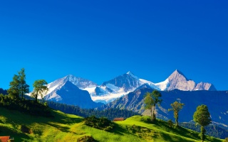 Switzerland, alps, mountain, snow, cottage, grass, trees, green