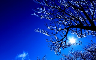 зима, гора, сніг, дерева, дорога, сонце, небо, синій