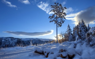 зима, гора, снег, деревья, дорога, солнце, небо, синий
