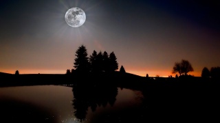 měsíc, řeka, reflexe, strom, noc, star, sky