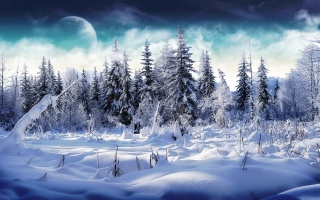 zimní, hory, sníh, stromy, silnice, slunce, sky, modrá
