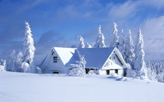 winter, the house, forest, snow, house and comfort, nature