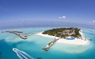 Maldives, ostrov, exotické, oceán, voda, palm