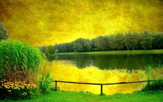 žlutá, sky, scenérie, jezero, stromy, zelená