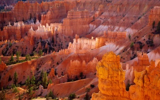 Bryce Canyon, poušť, oranžová, skály
