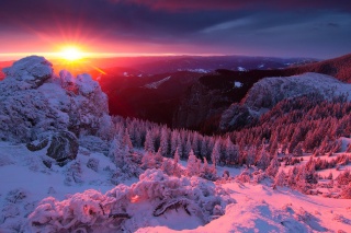 zima, hory, západ slunce, stromy, krásně